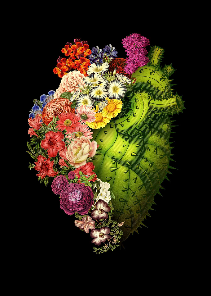 Healing Heart