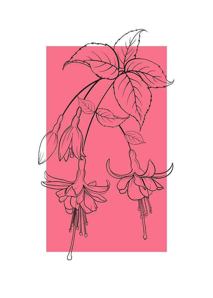 Fuchsia Flower