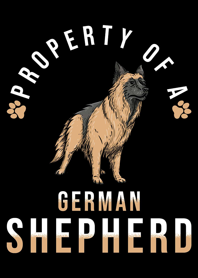 Shepherd Dog