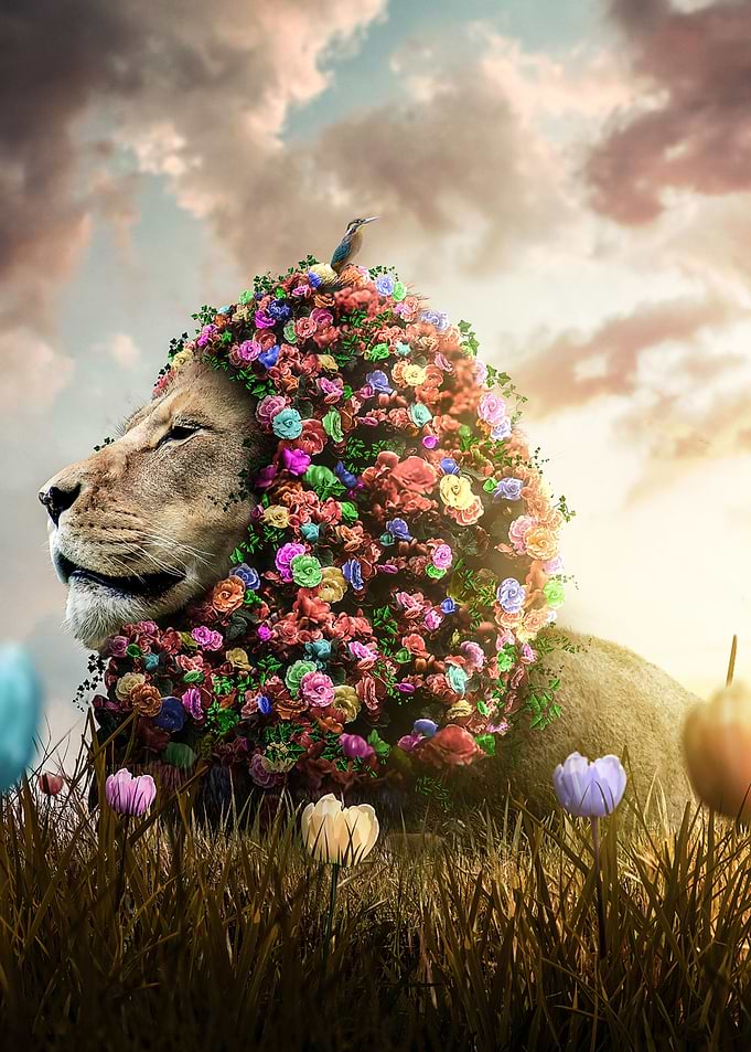 Floral Lion