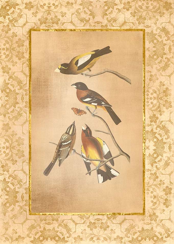 Antique Birds and Flowers