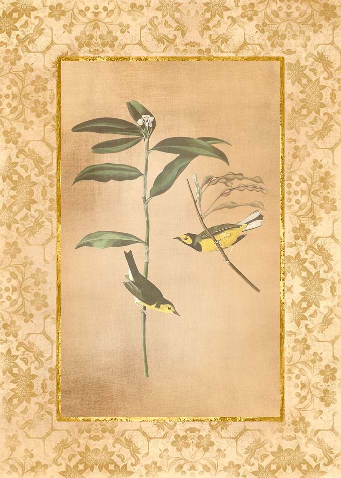 Antique Birds and Flowers