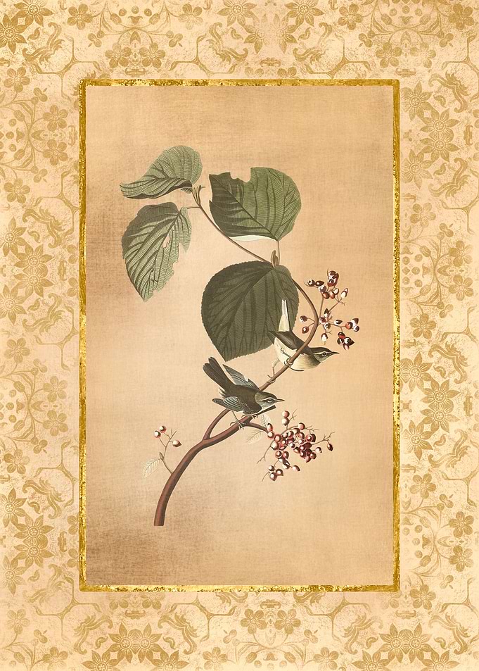 Antique Birds and Flowers