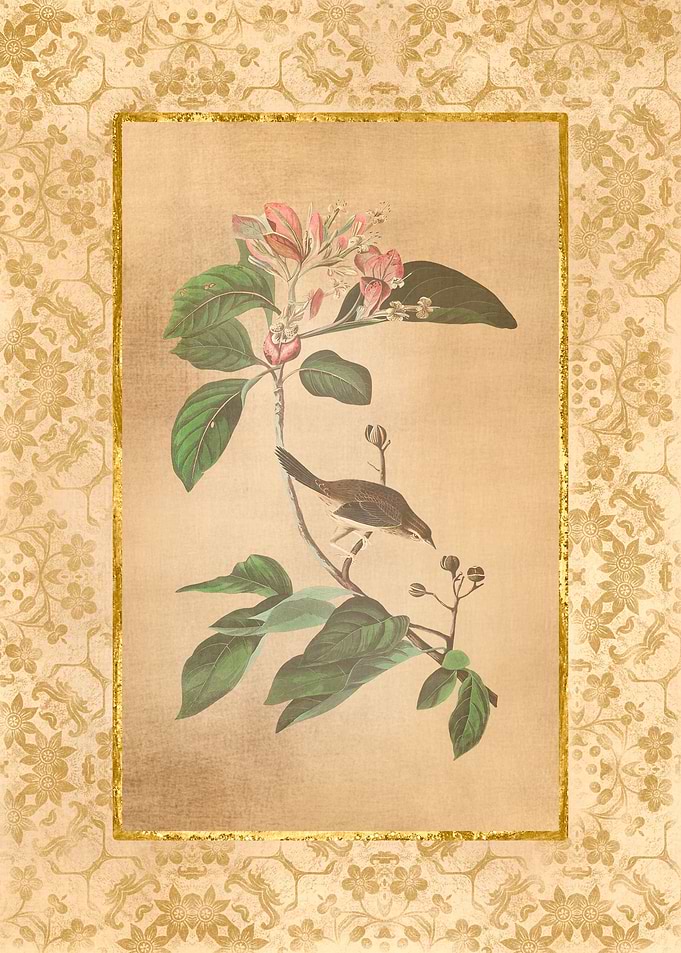 Antique Bird and Flowers