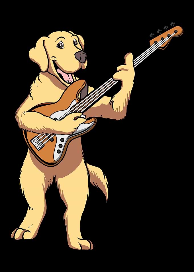 Bass Guitar Player Bassist