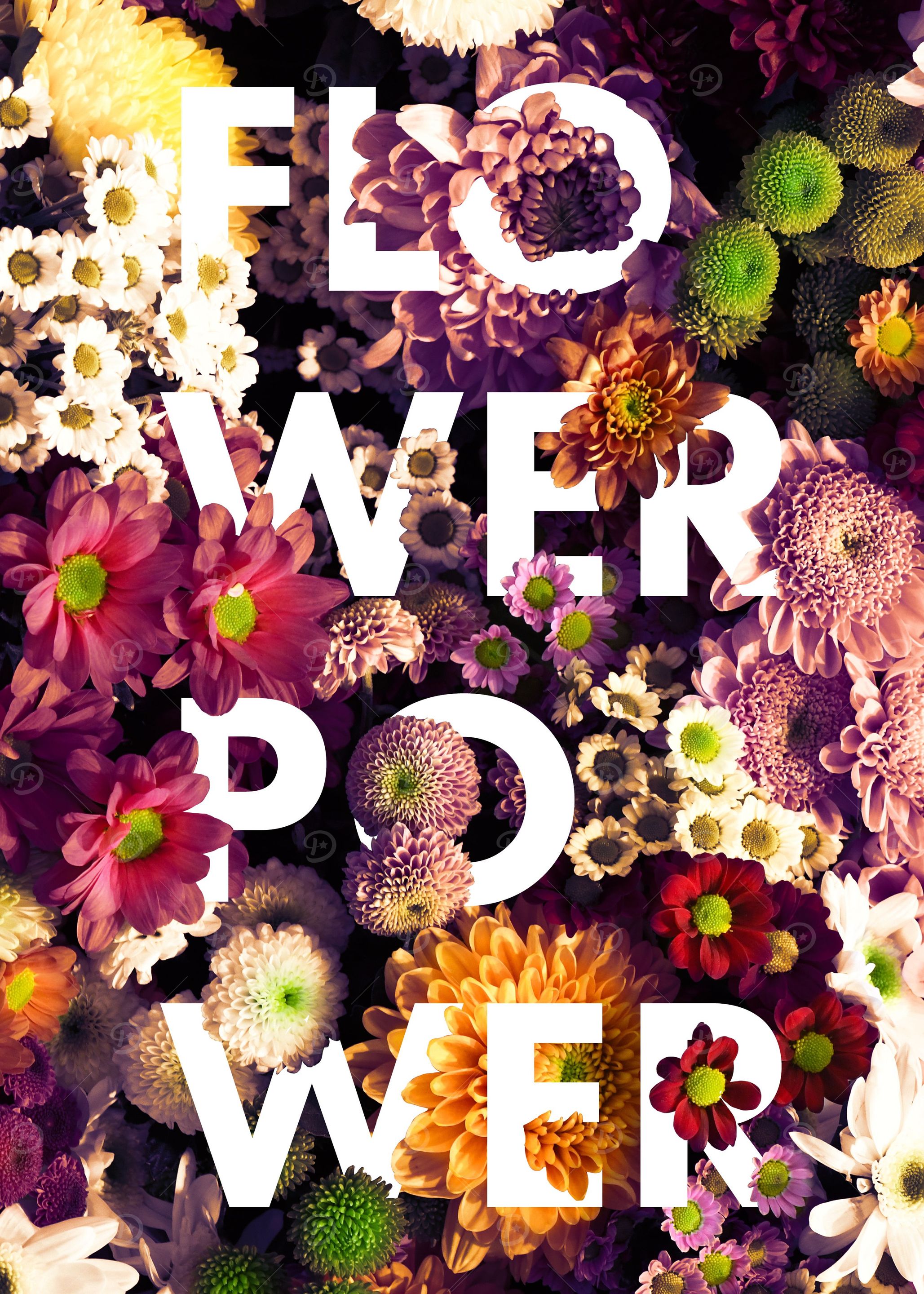 Flower Power S1