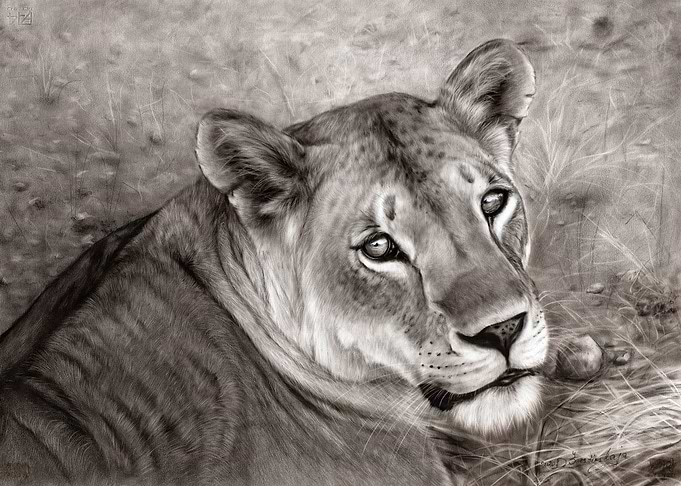 Queen Of Savannah