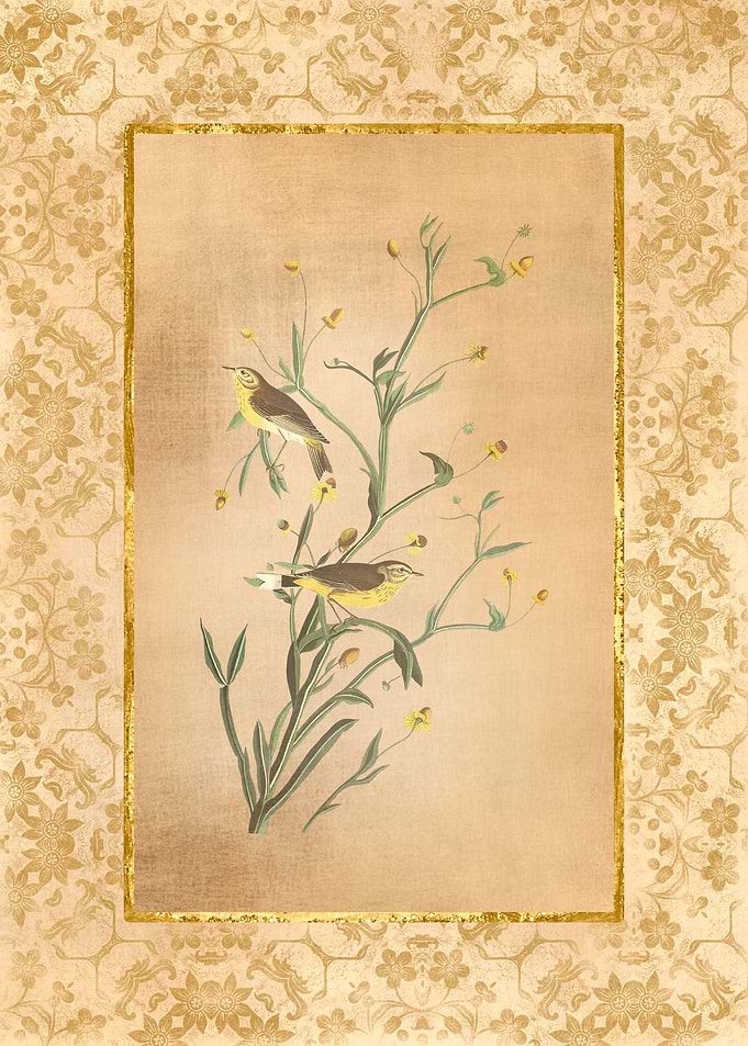 Antique Birds and Flowers