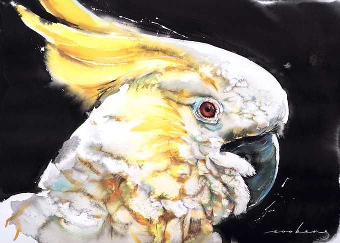 Crowned Feathers