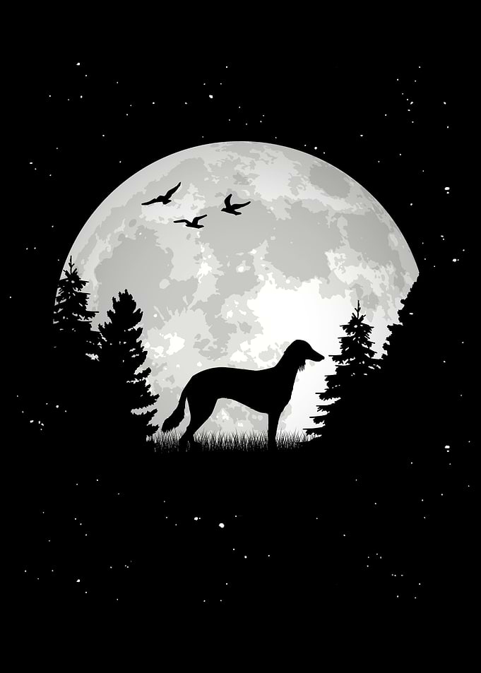 Saluki Moon Persian