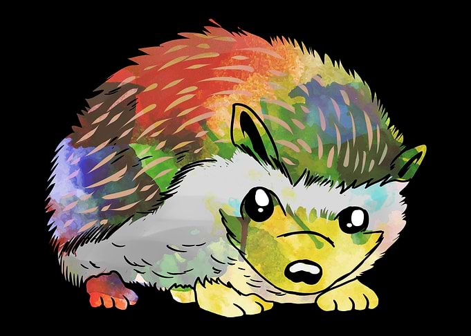 Hedgehog