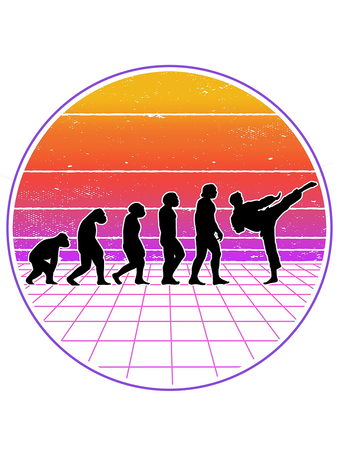 Karate Evolution Vaporwave
