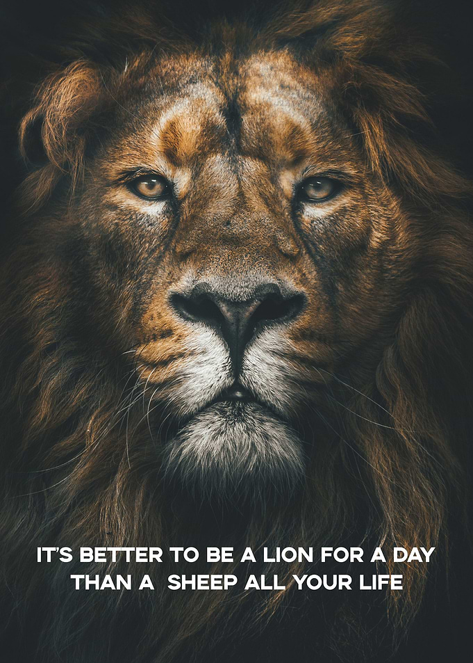 Be a Lion