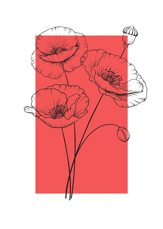 Poppy Flower