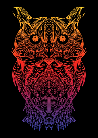Colorful Geometric Owl