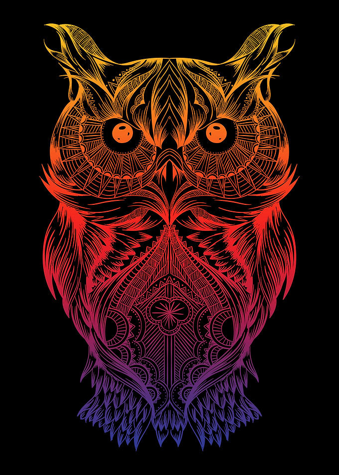 Colorful Geometric Owl