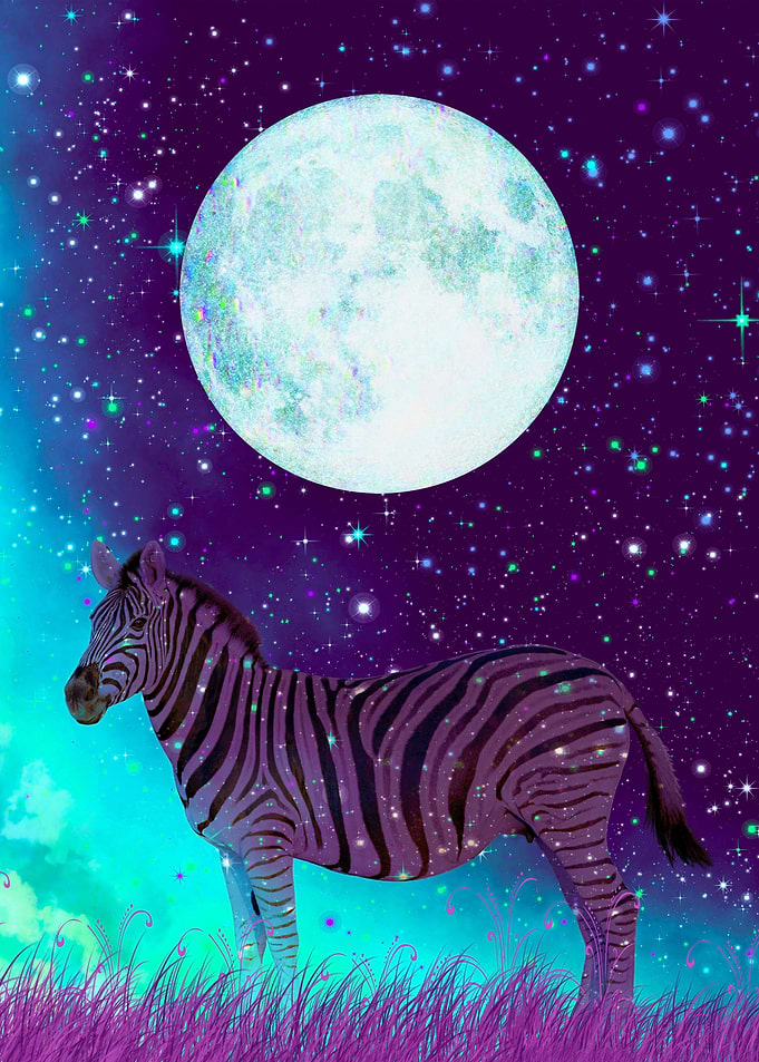 Full Moon Galaxy Zebra