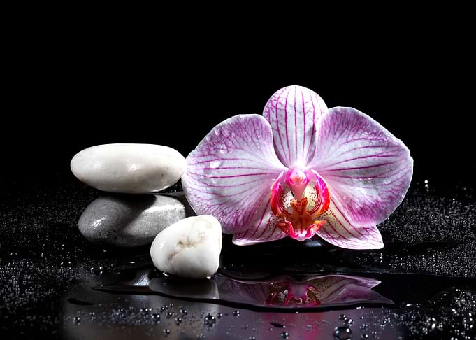 zen stones