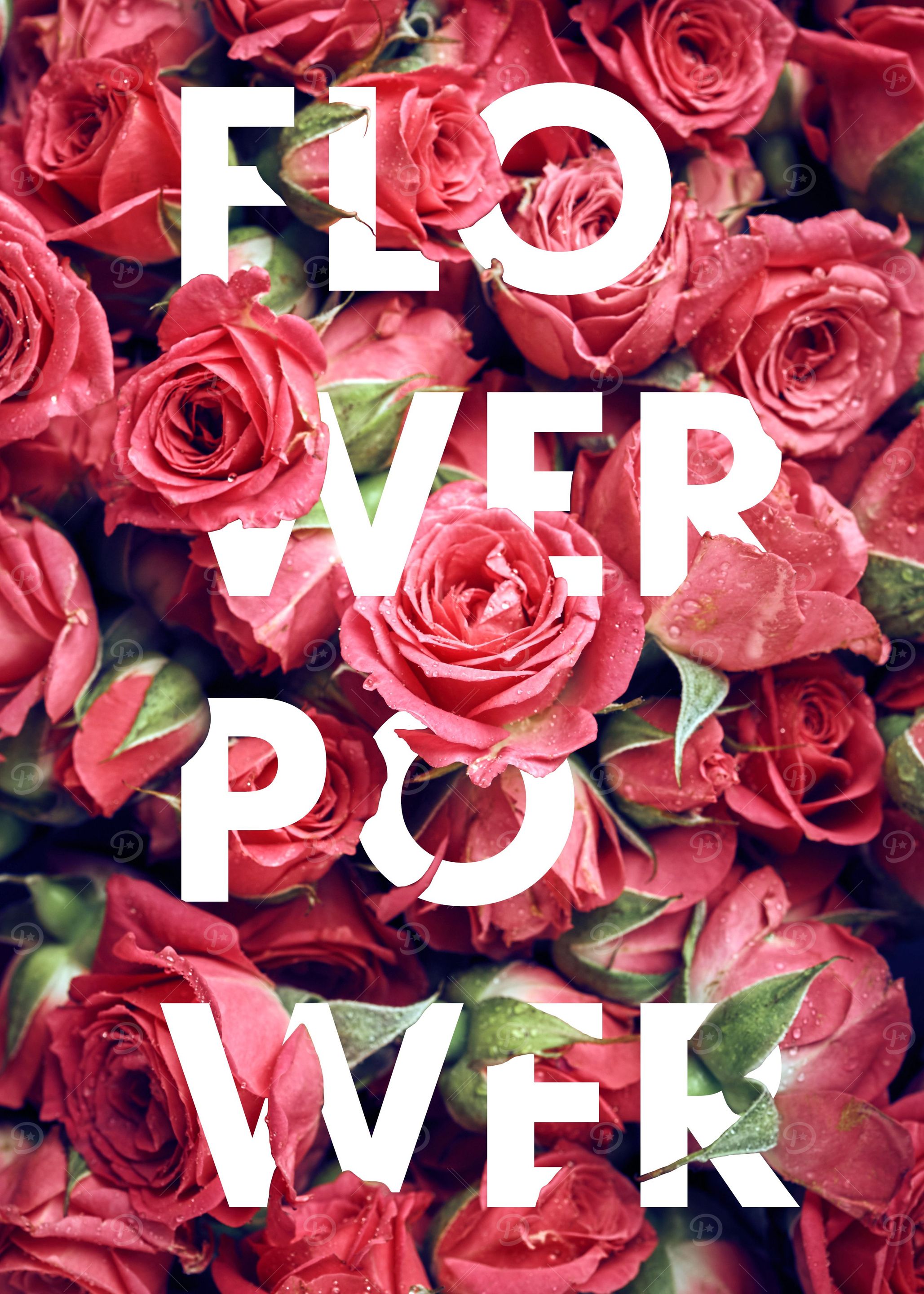 Flower Power S2