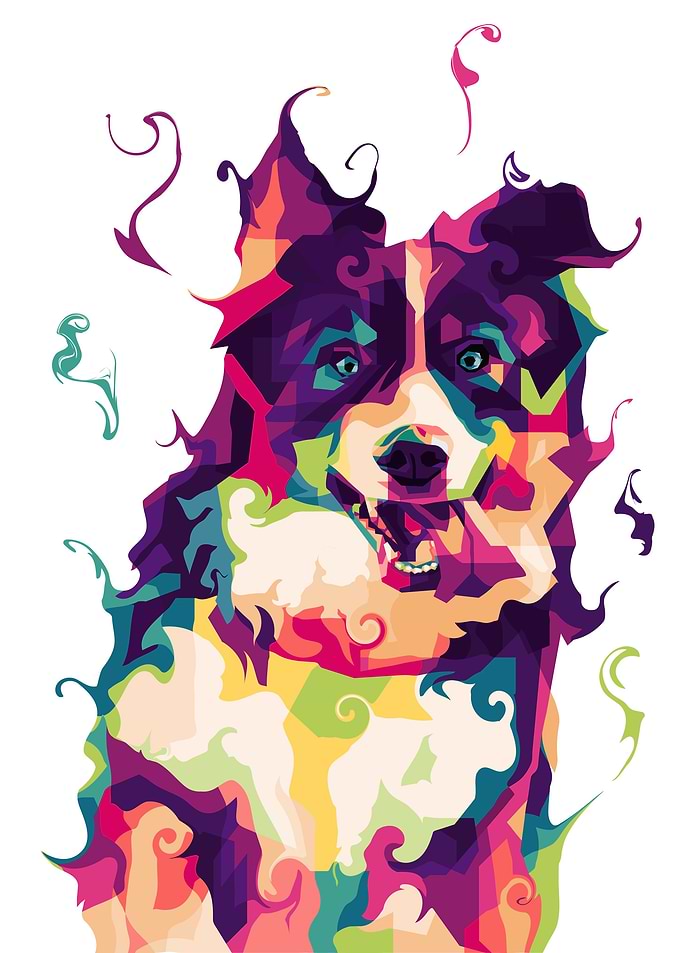 Bernese Mountain Dog