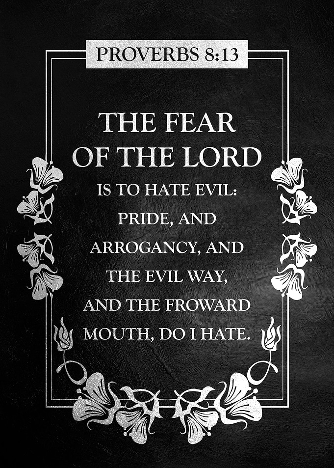 Proverbs 8 13