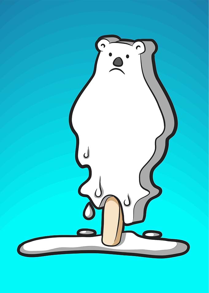 Polar bear global warming