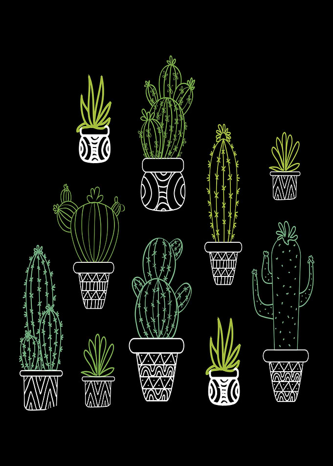 Cactus Species