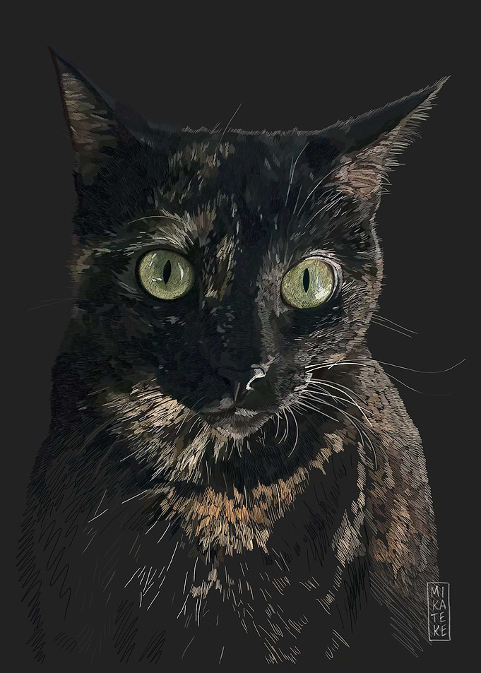 Lily the Cat