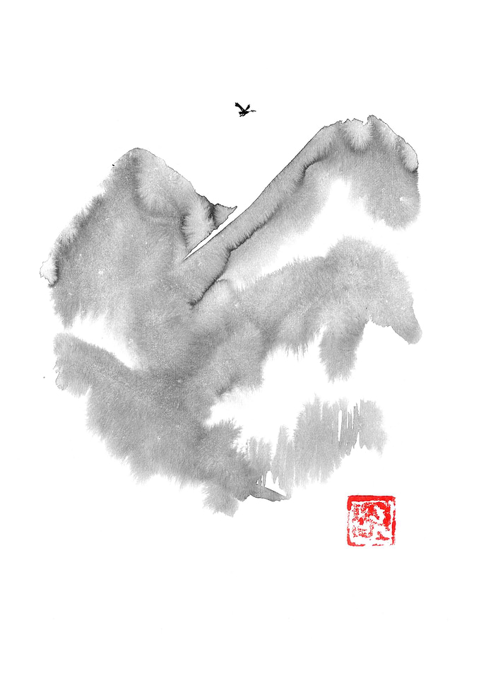 moutain bird