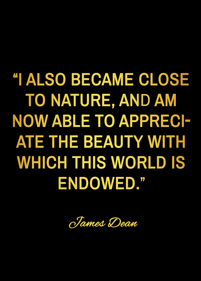 james dean quotes