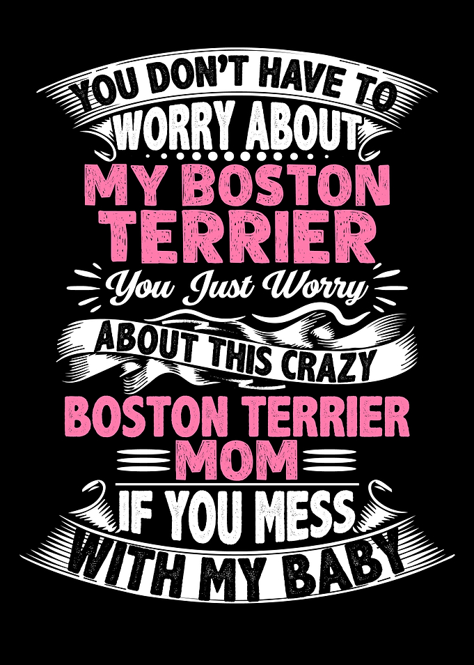 DONT MESS BOSTON TERRIER