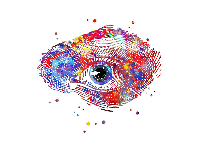 Human eye
