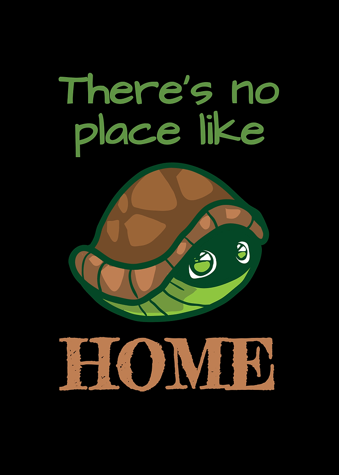 Turtle Nothing Like Home
