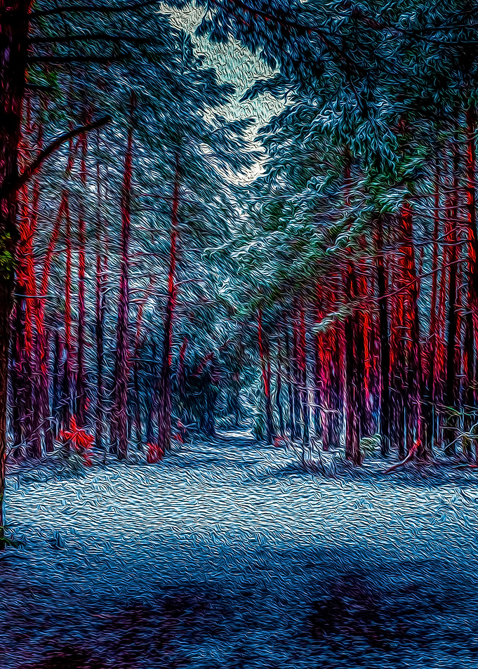 Trees in the Woods
