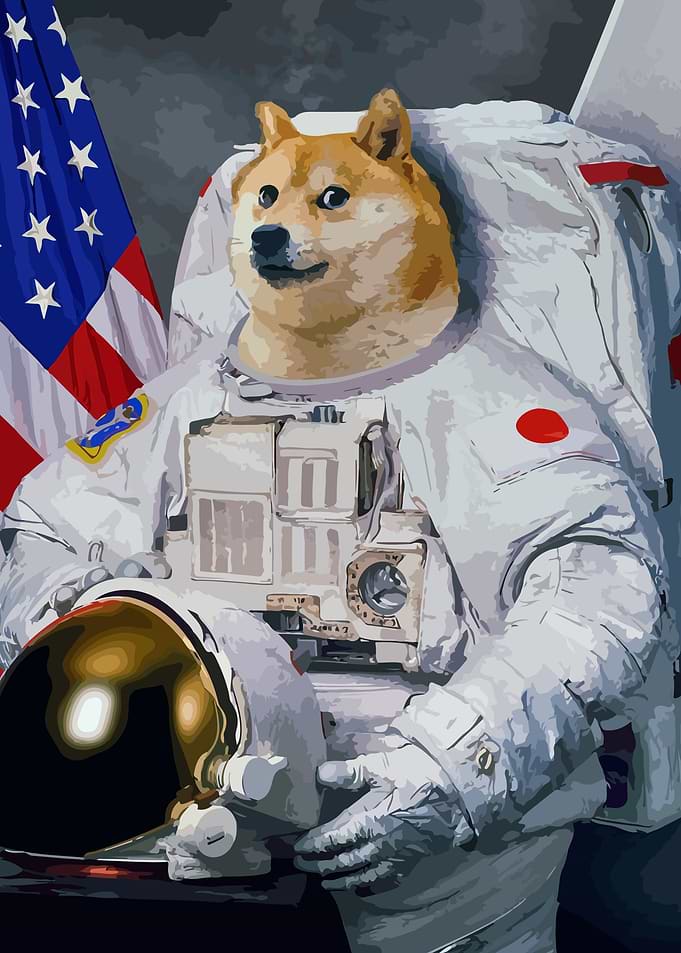 doge
