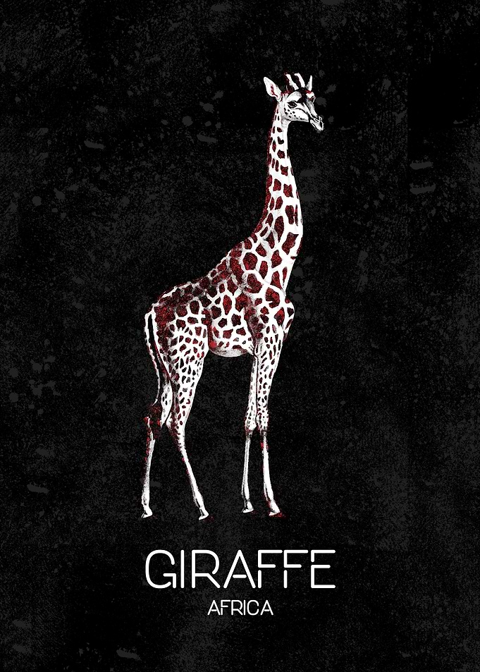 Minimalist Giraffe Africa