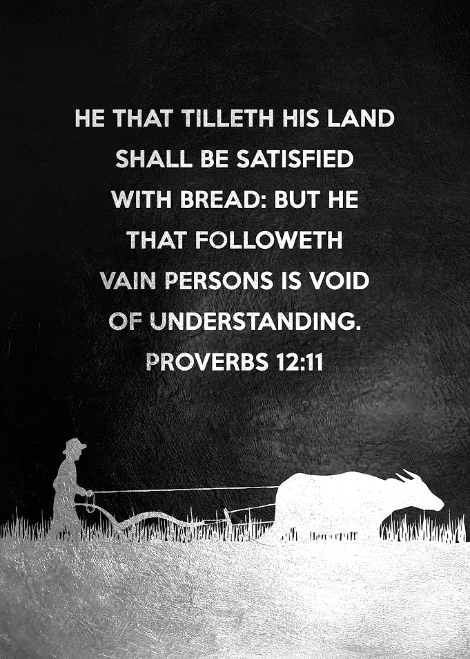 Proverbs 12 11