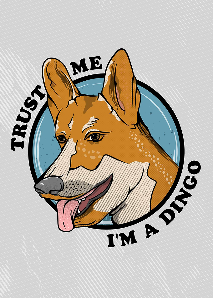 Dingo