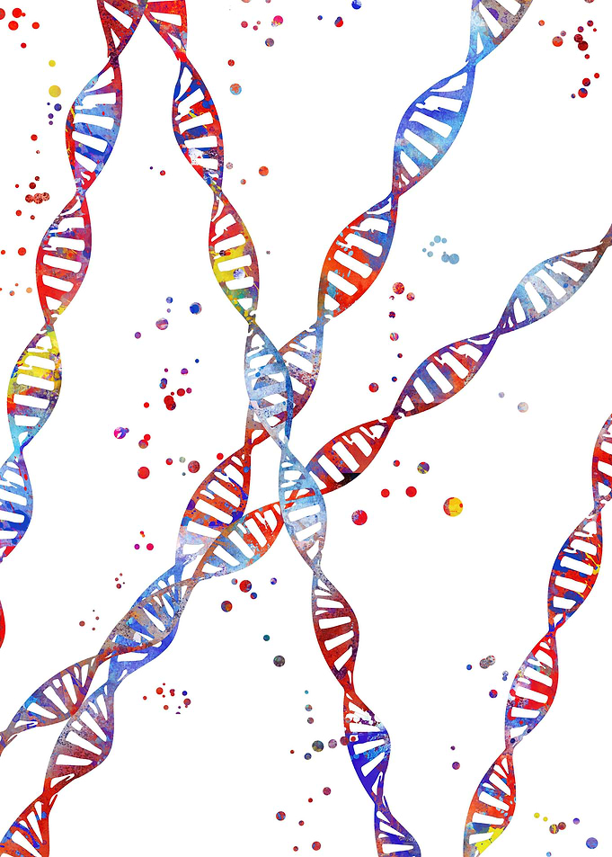 DNA molecule