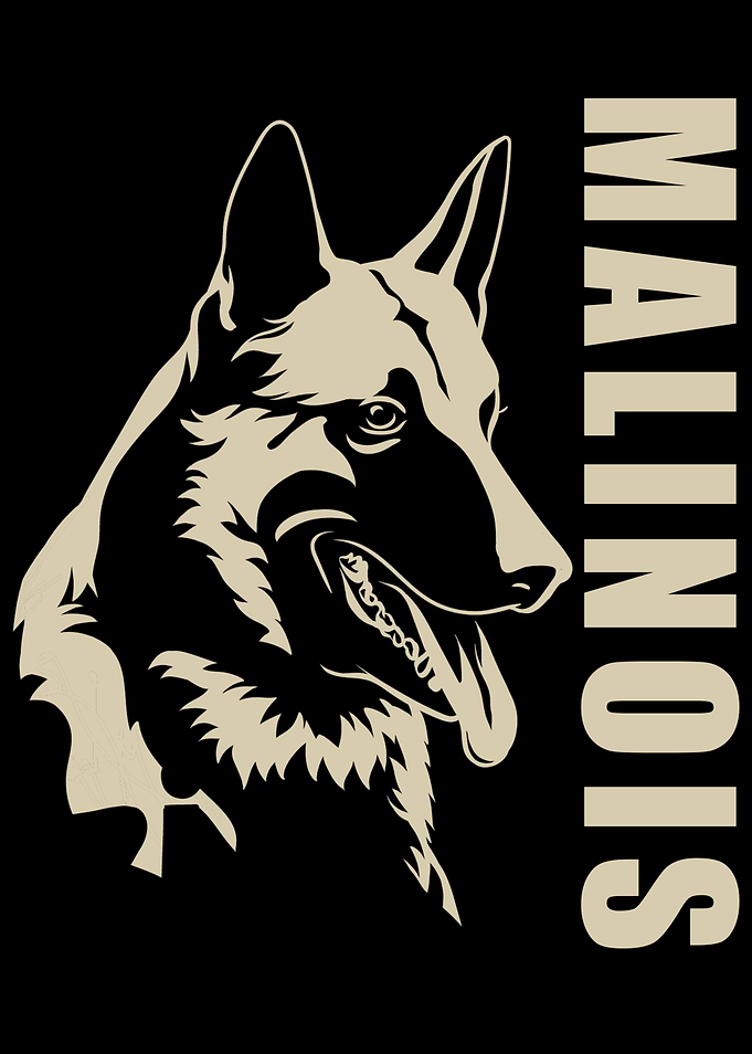 Malinois
