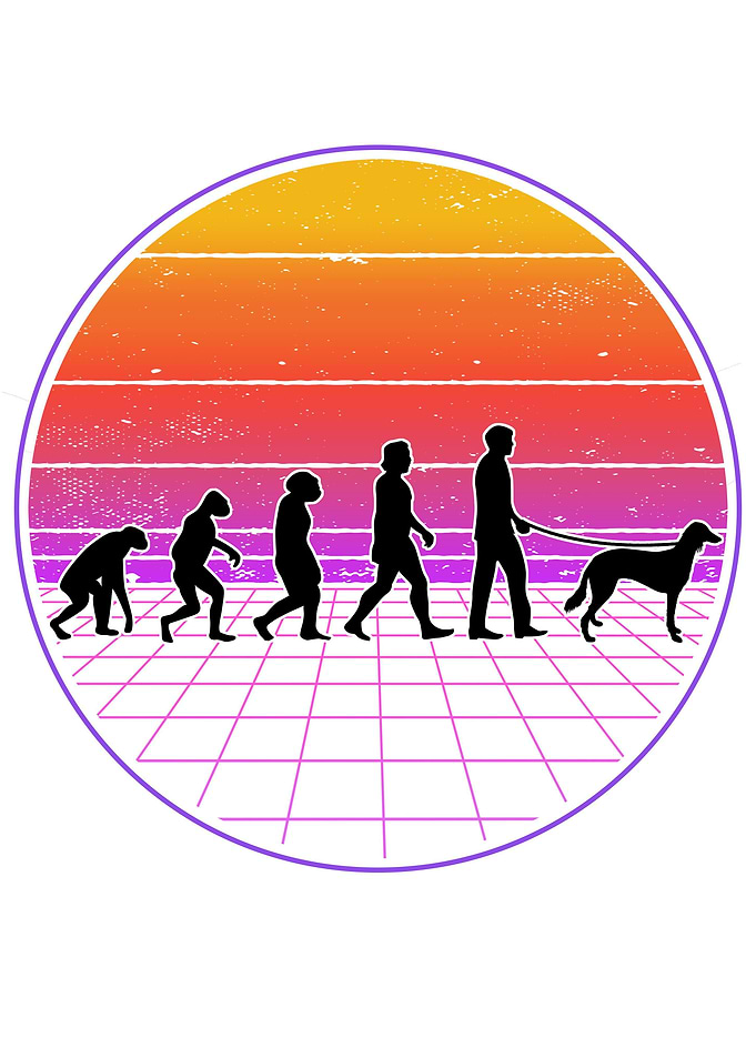 Saluki Vaporwave Evolution