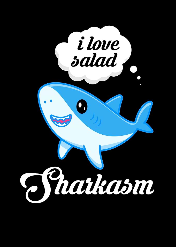 Shark Sharks Shark Fin