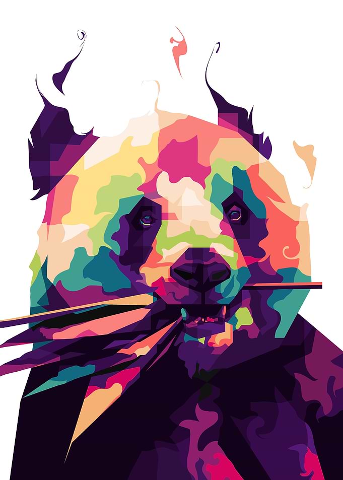 Panda Colorful