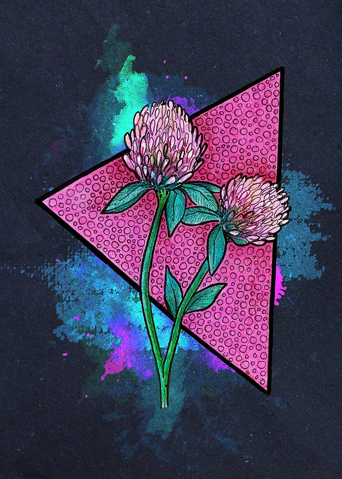 Pink Clover Dark