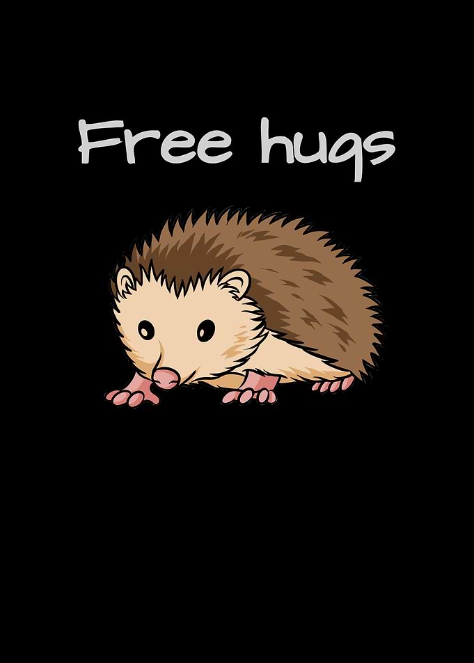Hedgehog Free Hugs