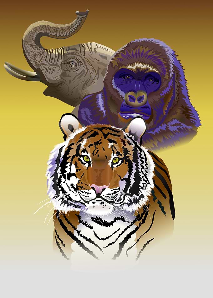 Tiger Elephant and Gorilla