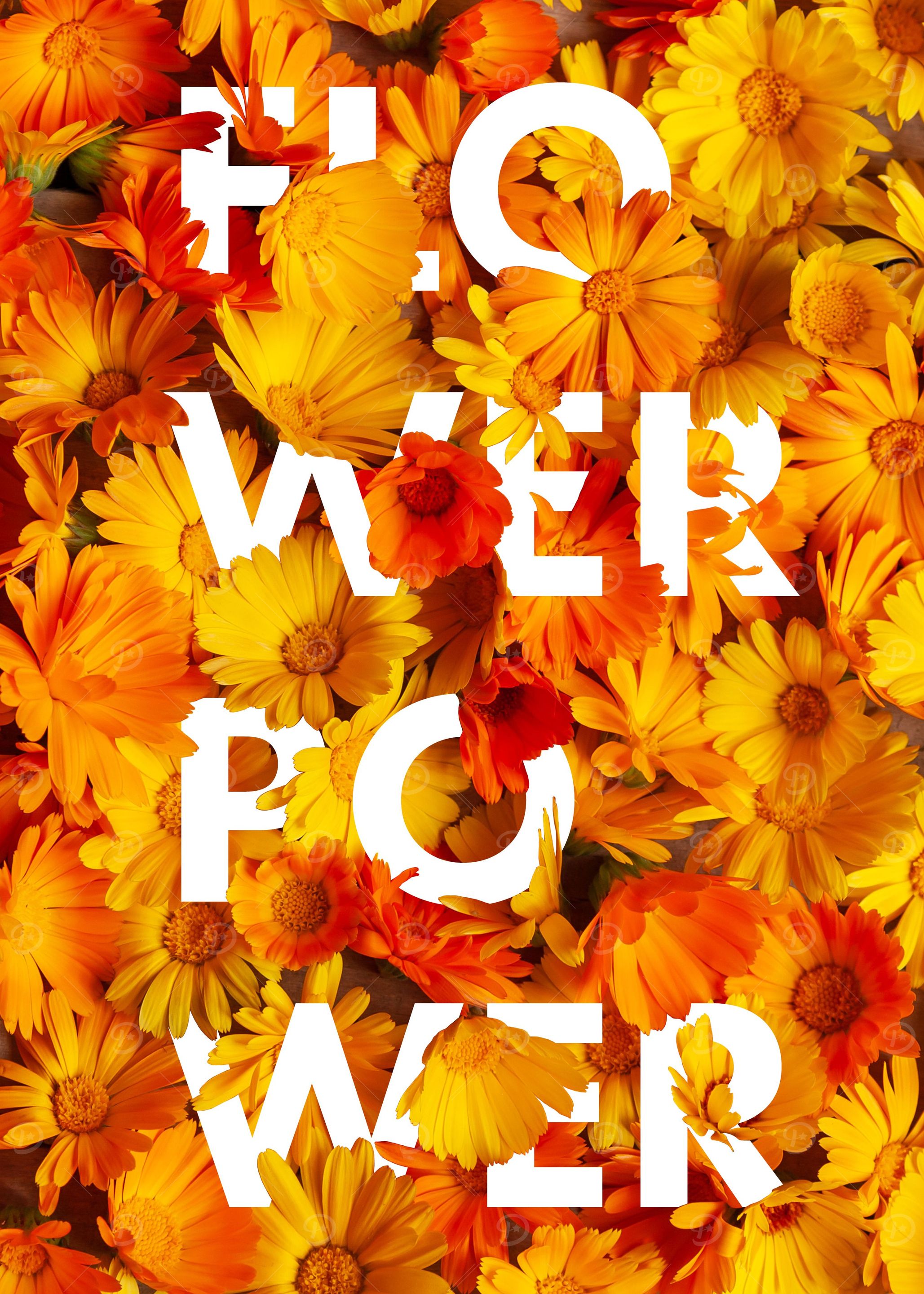 Flower Power S3