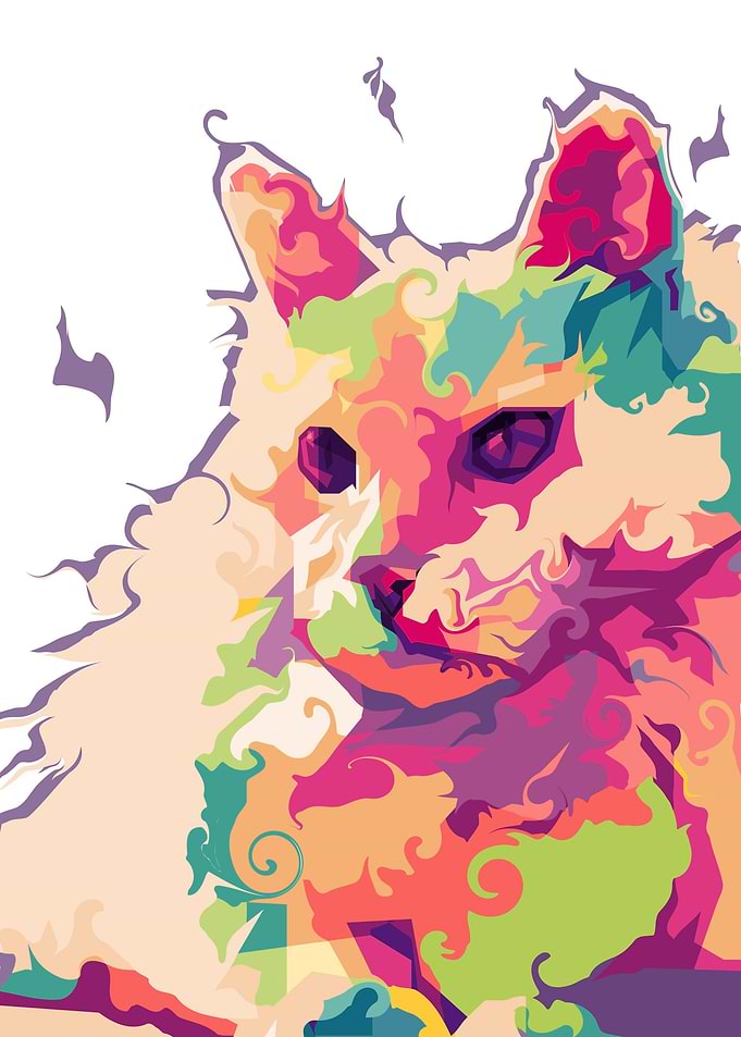 Cat Colorful