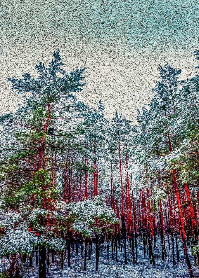 Trees