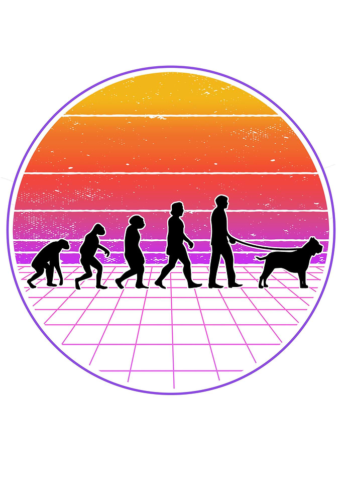 Presa Canario Evolution